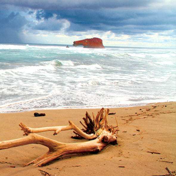Barra de Tigre